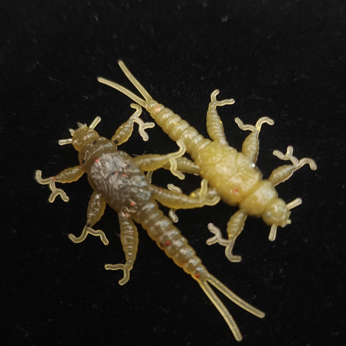 1.5" Inch Stonefly Larvae "The Morelkin" - The Snag Bin