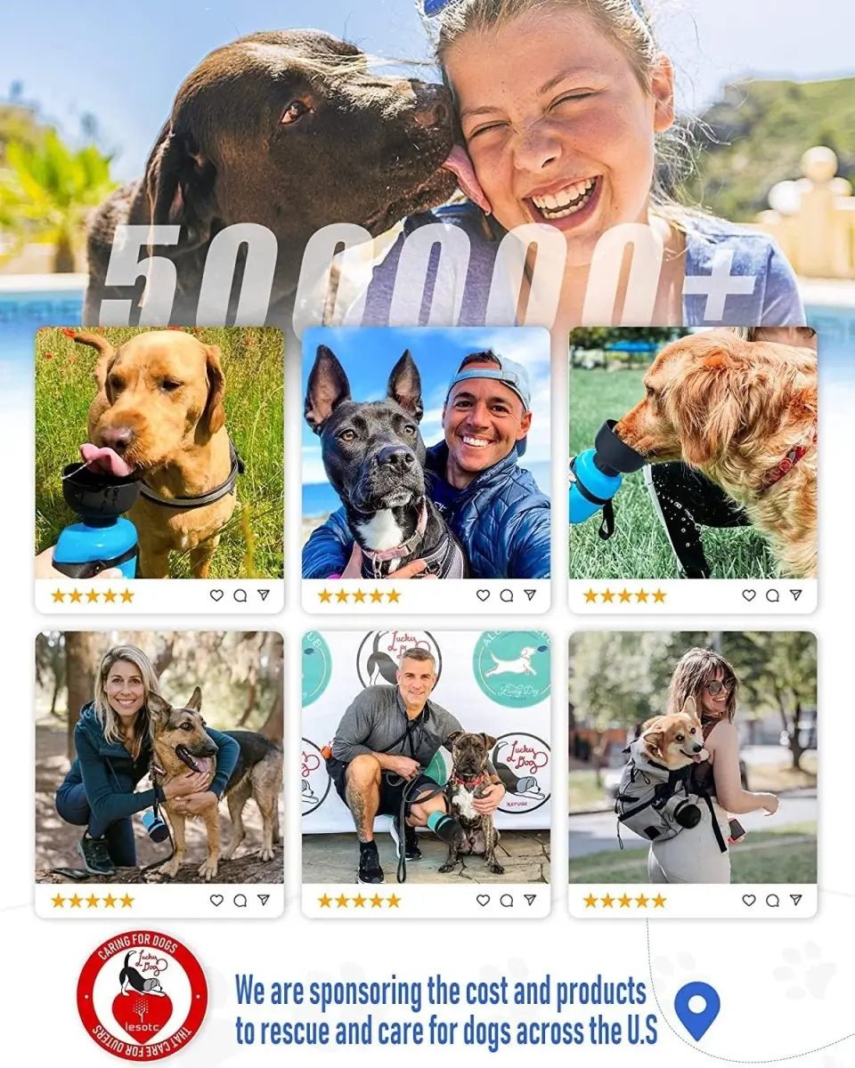 2022 Upgraded Pet Water Bottle - The Snag Bin