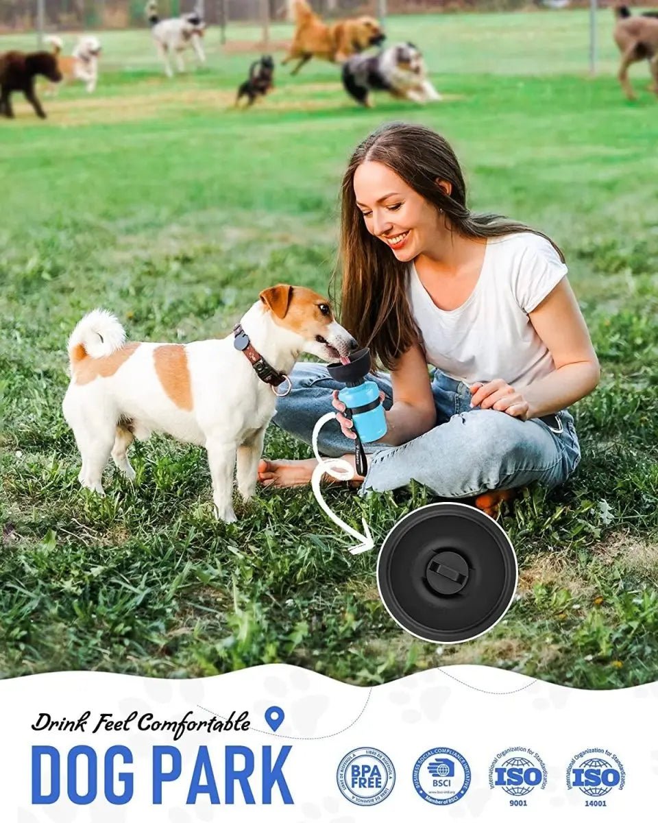 2022 Upgraded Pet Water Bottle - The Snag Bin
