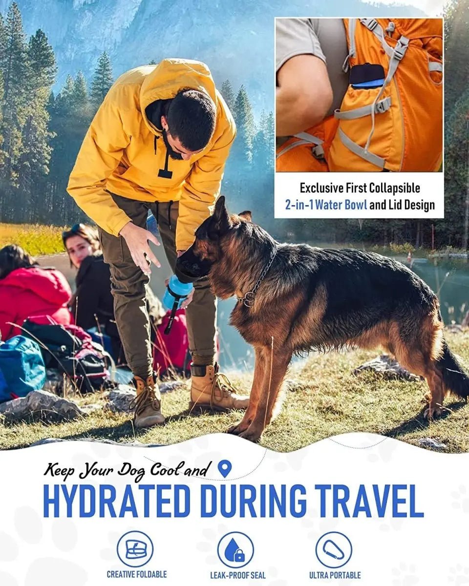 2022 Upgraded Pet Water Bottle - The Snag Bin