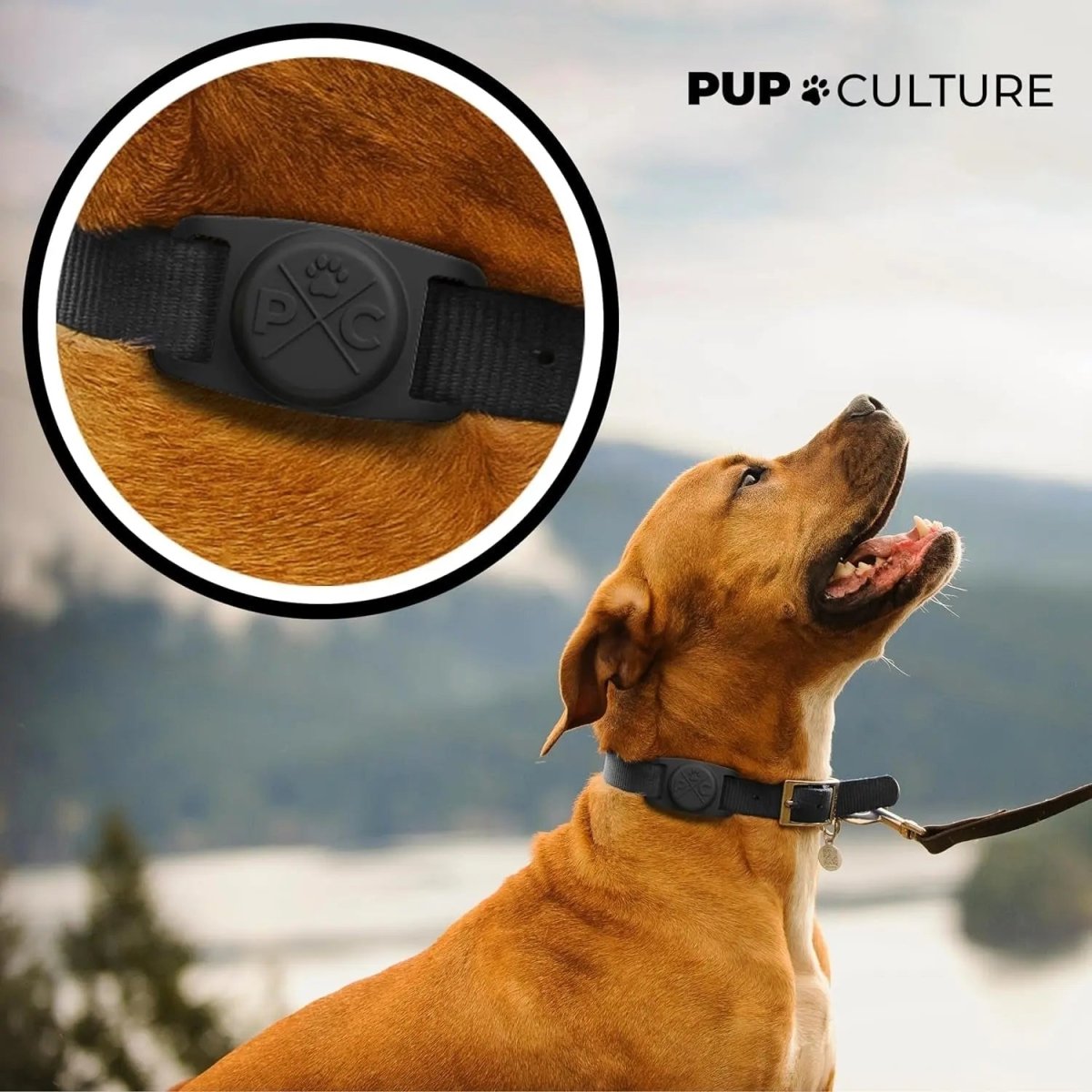 Airtag Dog Collar Holder, Extra - Durable, Lightweight, - The Snag Bin
