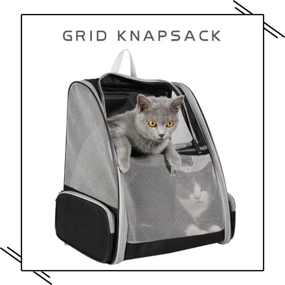 Bubble Backpack Pet Carriers for Cats and Dogs - The Snag Bin