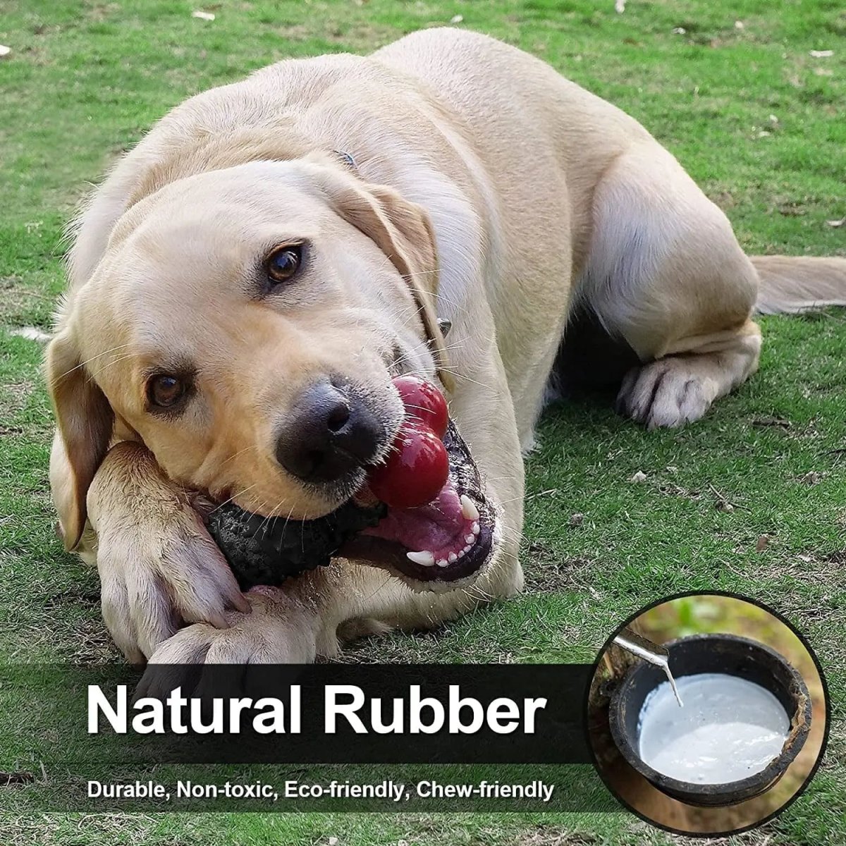 Dog Toys for Aggressive Chewers Bone - The Snag Bin