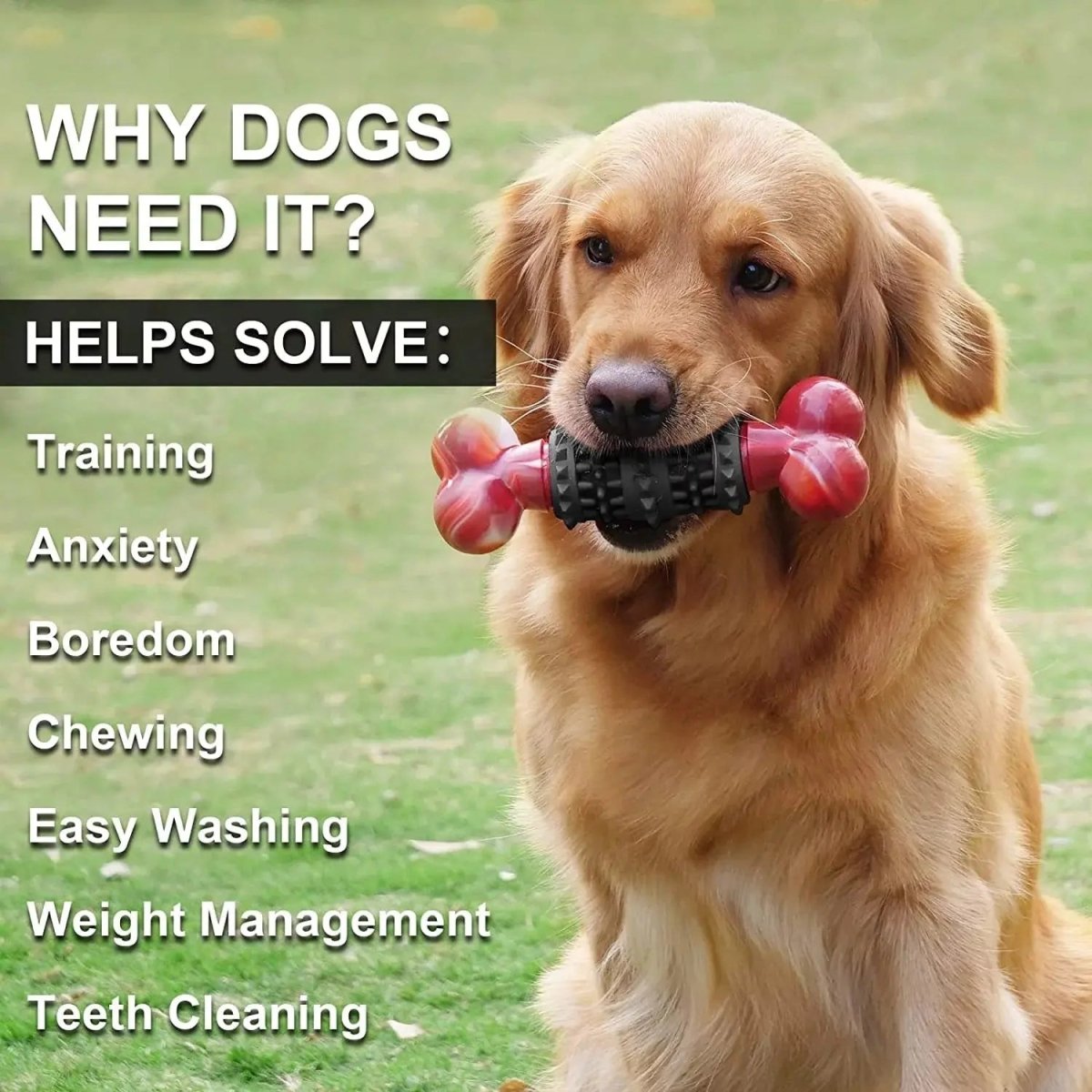 Dog Toys for Aggressive Chewers Bone - The Snag Bin