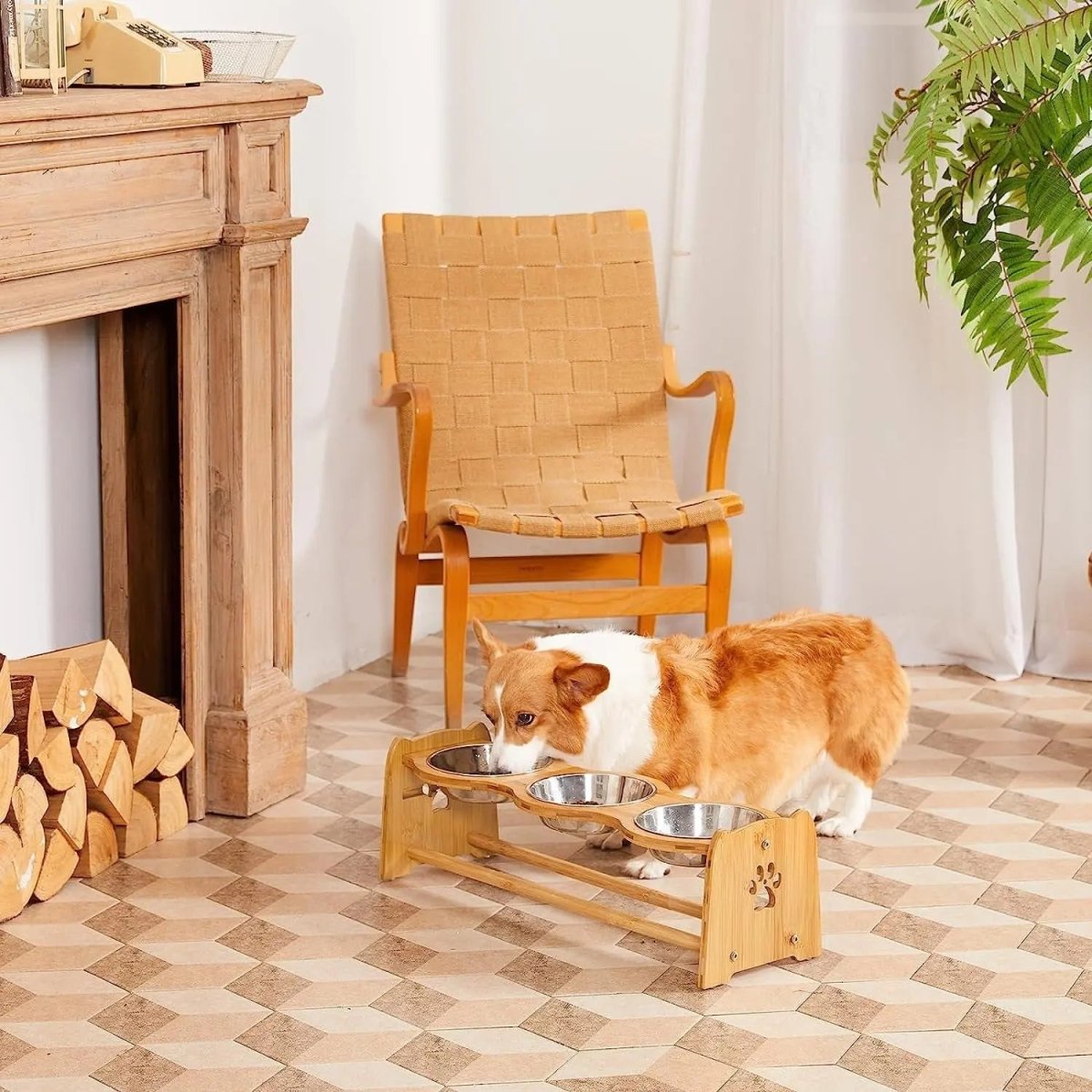 Elevated Dog Bowls for Cats and Dogs - The Snag Bin