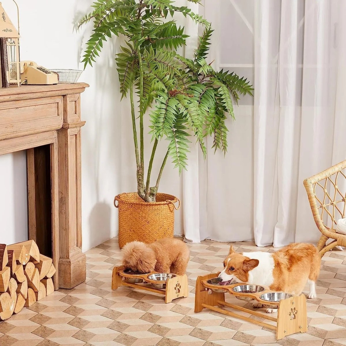 Elevated Dog Bowls for Cats and Dogs - The Snag Bin