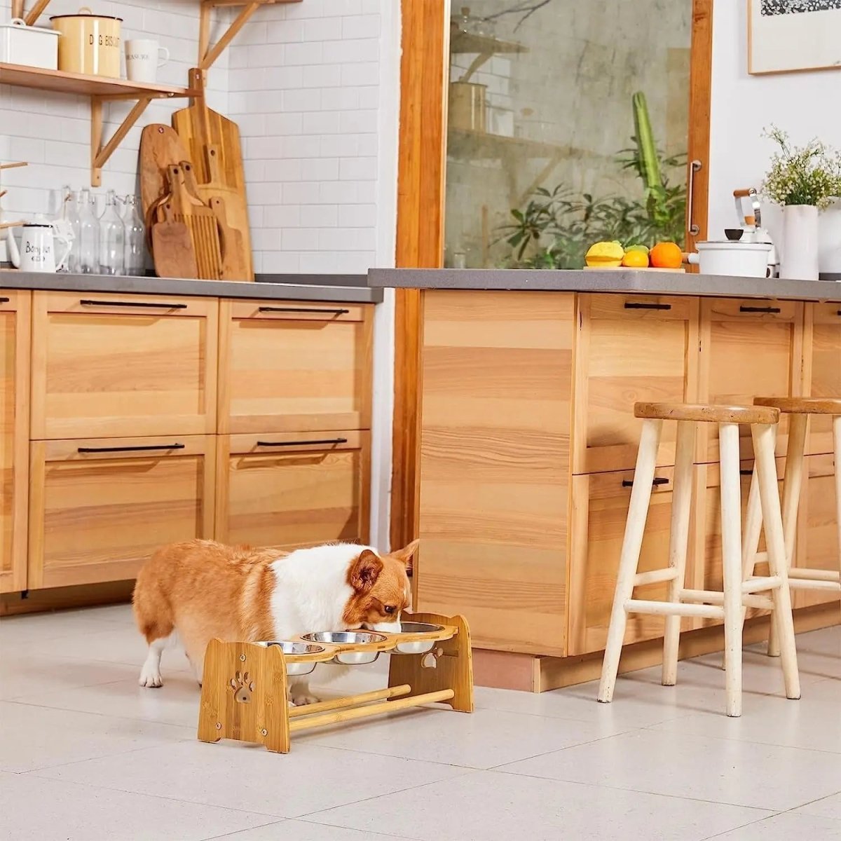 Elevated Dog Bowls for Cats and Dogs - The Snag Bin