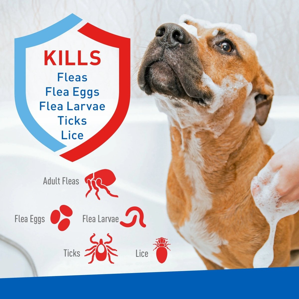 Flea & Tick Foaming Shampoo & Wash - 2 Pack for Sensitive Skin! - The Snag Bin