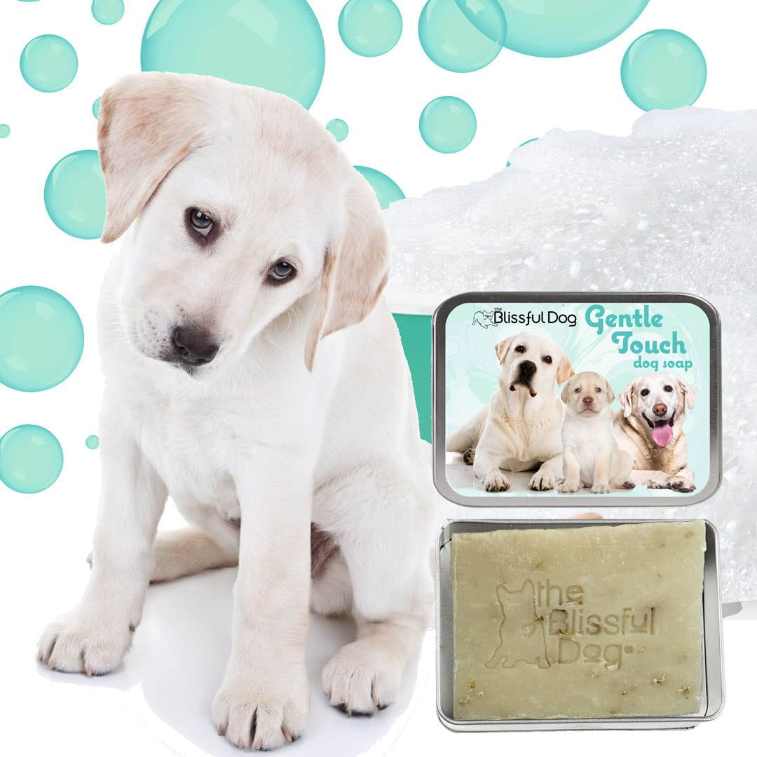 Gentle Touch Dog Shampoo & Soap - The Snag Bin