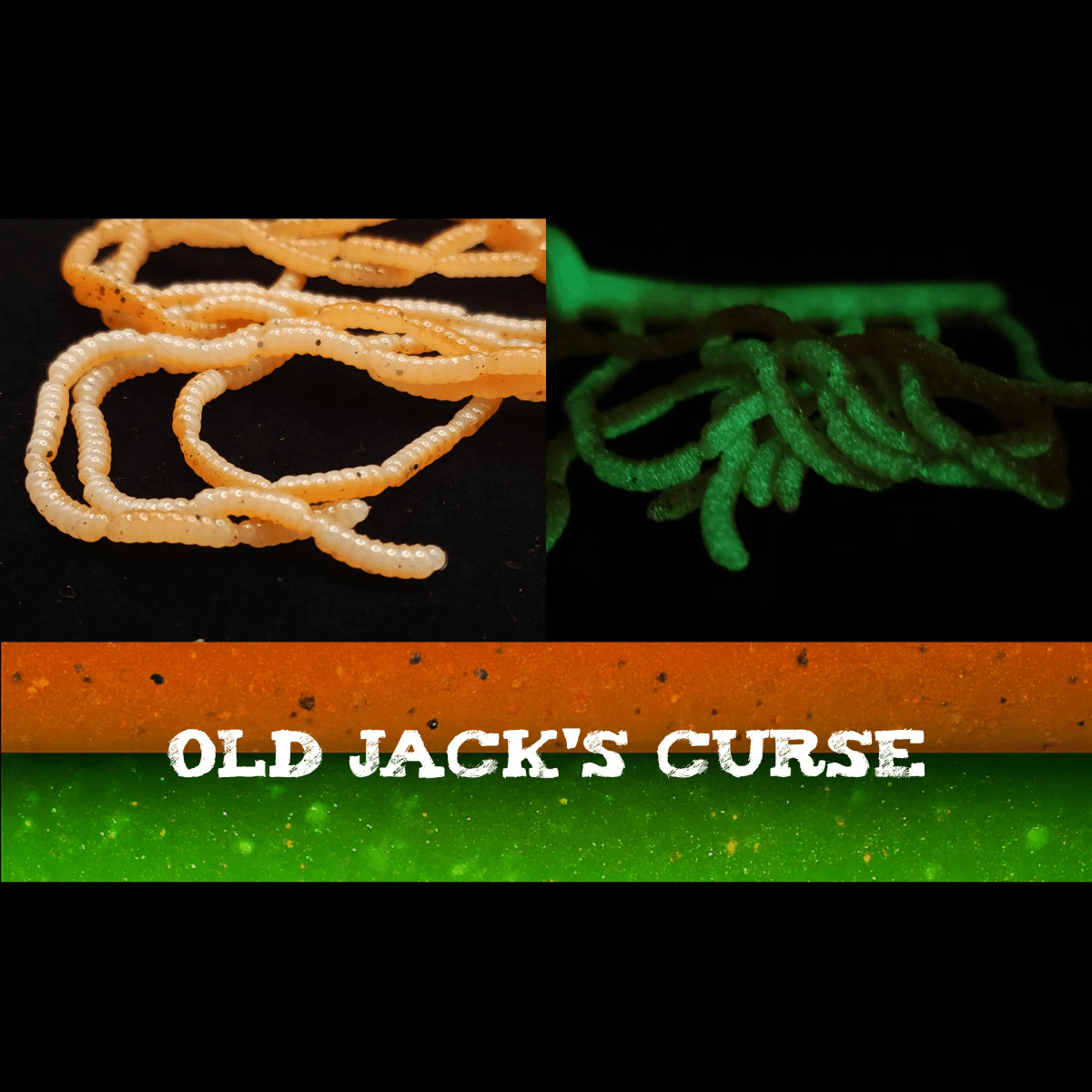 Jar of 0.5" Inch Micro Maggot Fly Larvae "The Apple Maggot" - The Snag Bin