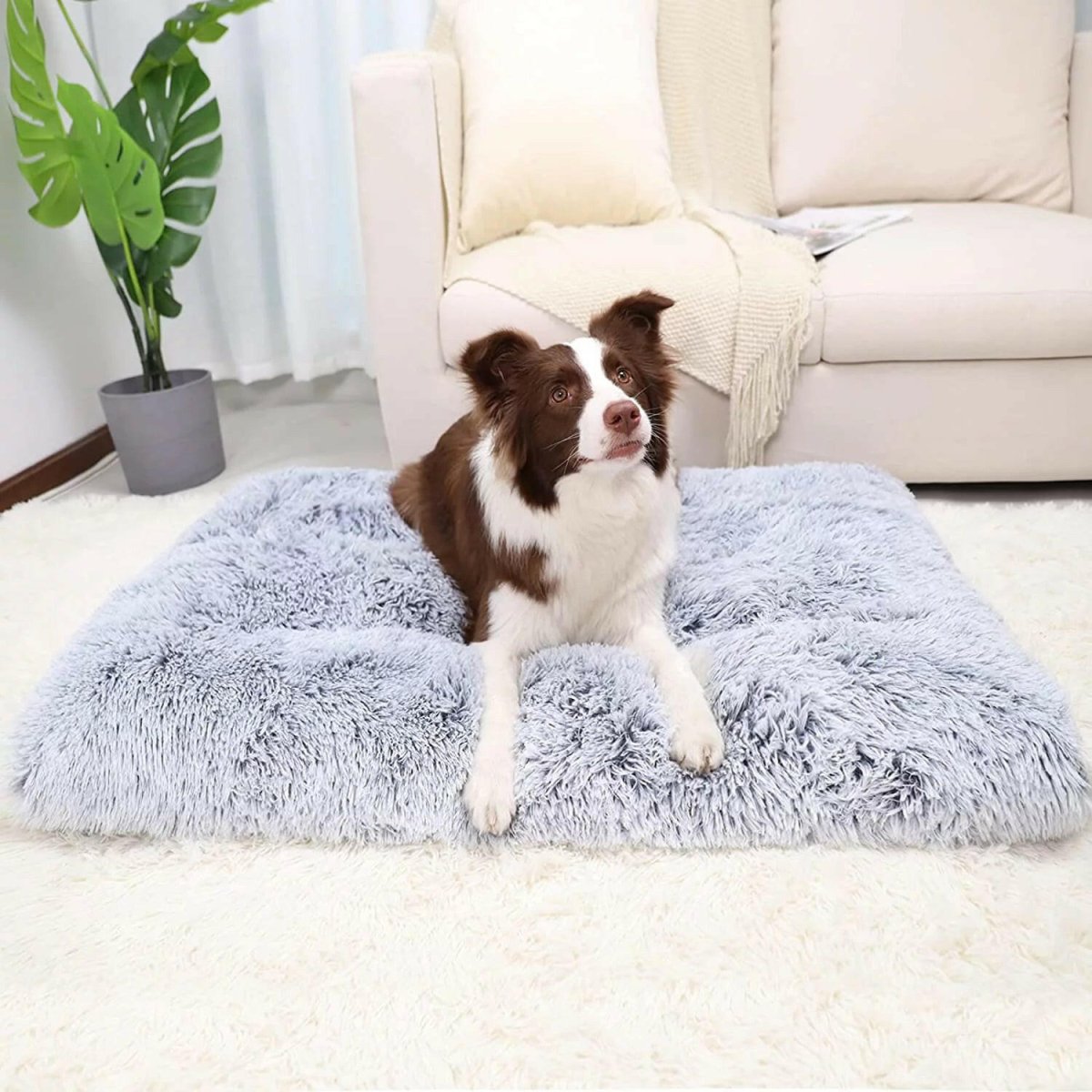 Large Dog Mats for Anxiety - The Snag Bin