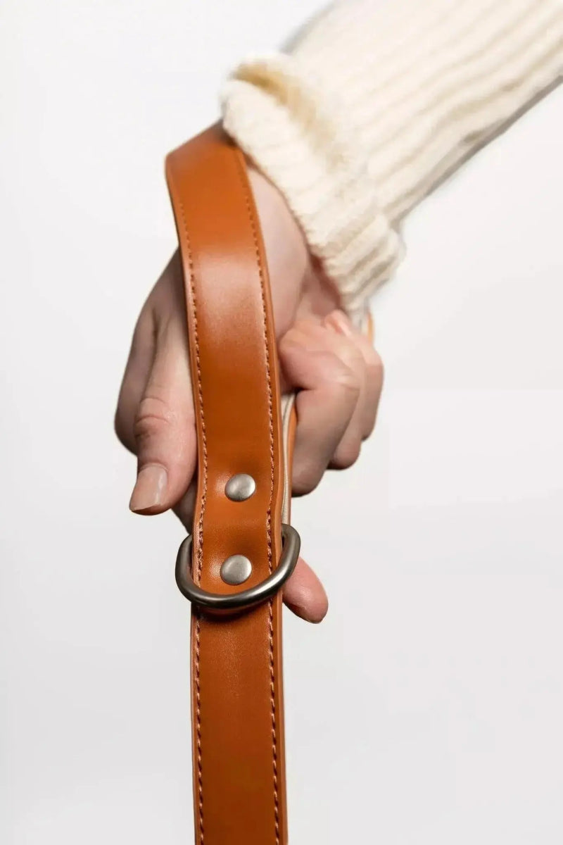 Leather Dog Leash - The Snag Bin
