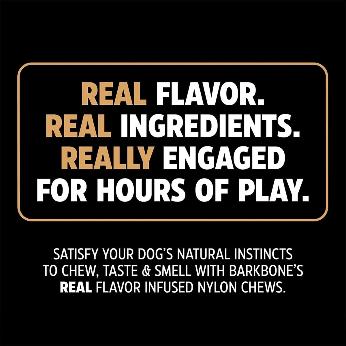 Nylon Dog Bone for Aggressive Chewers - The Snag Bin