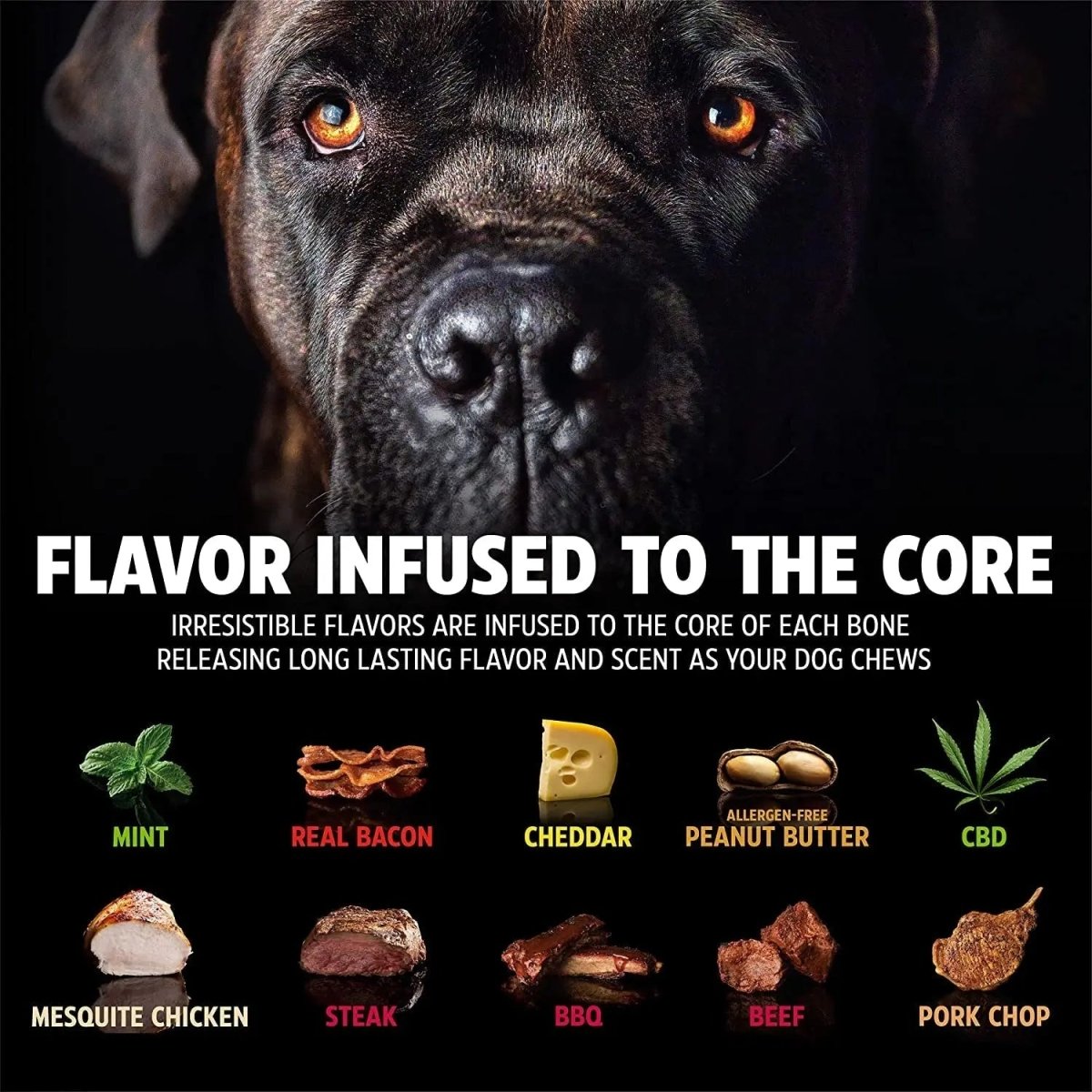 Nylon Dog Bone for Aggressive Chewers - The Snag Bin