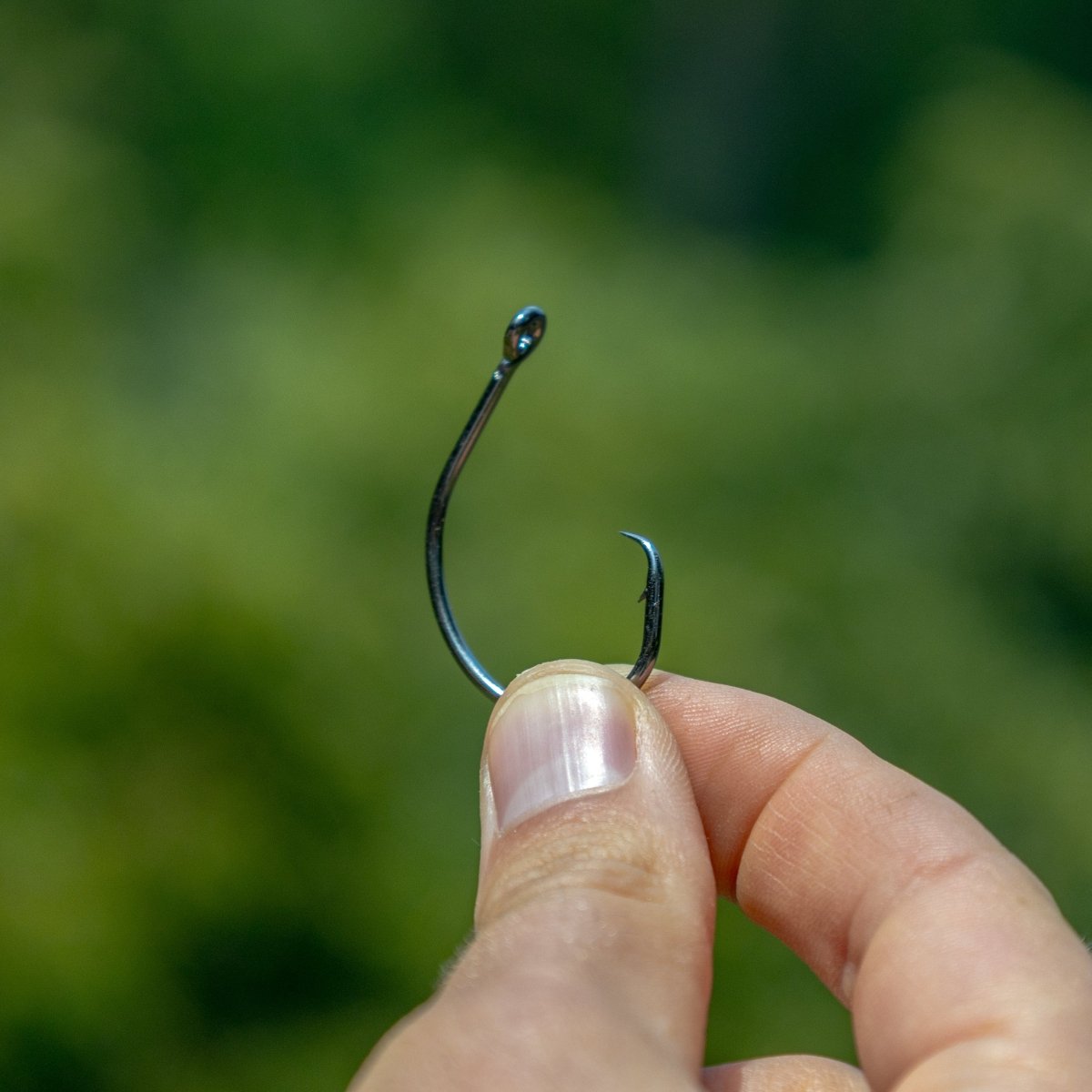 Premium Circle Hooks - 25 Pack - The Snag Bin
