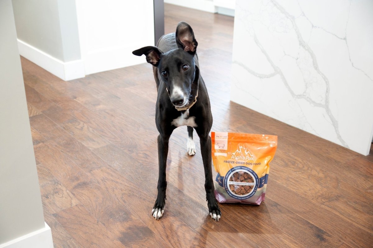 PREMIUM RAW FREEZE DRIED DOG FOOD - The Snag Bin