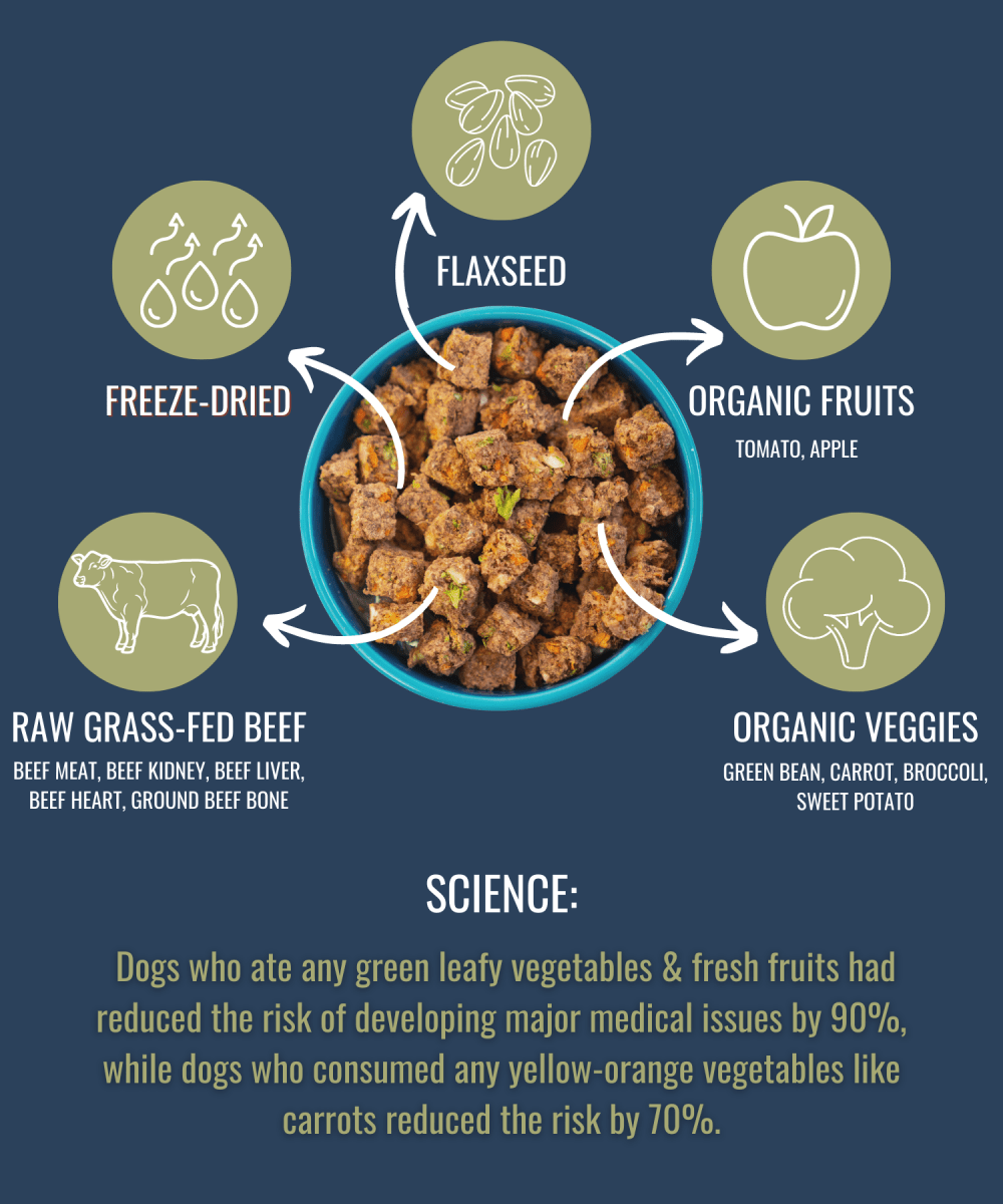 PREMIUM RAW FREEZE DRIED DOG FOOD - The Snag Bin