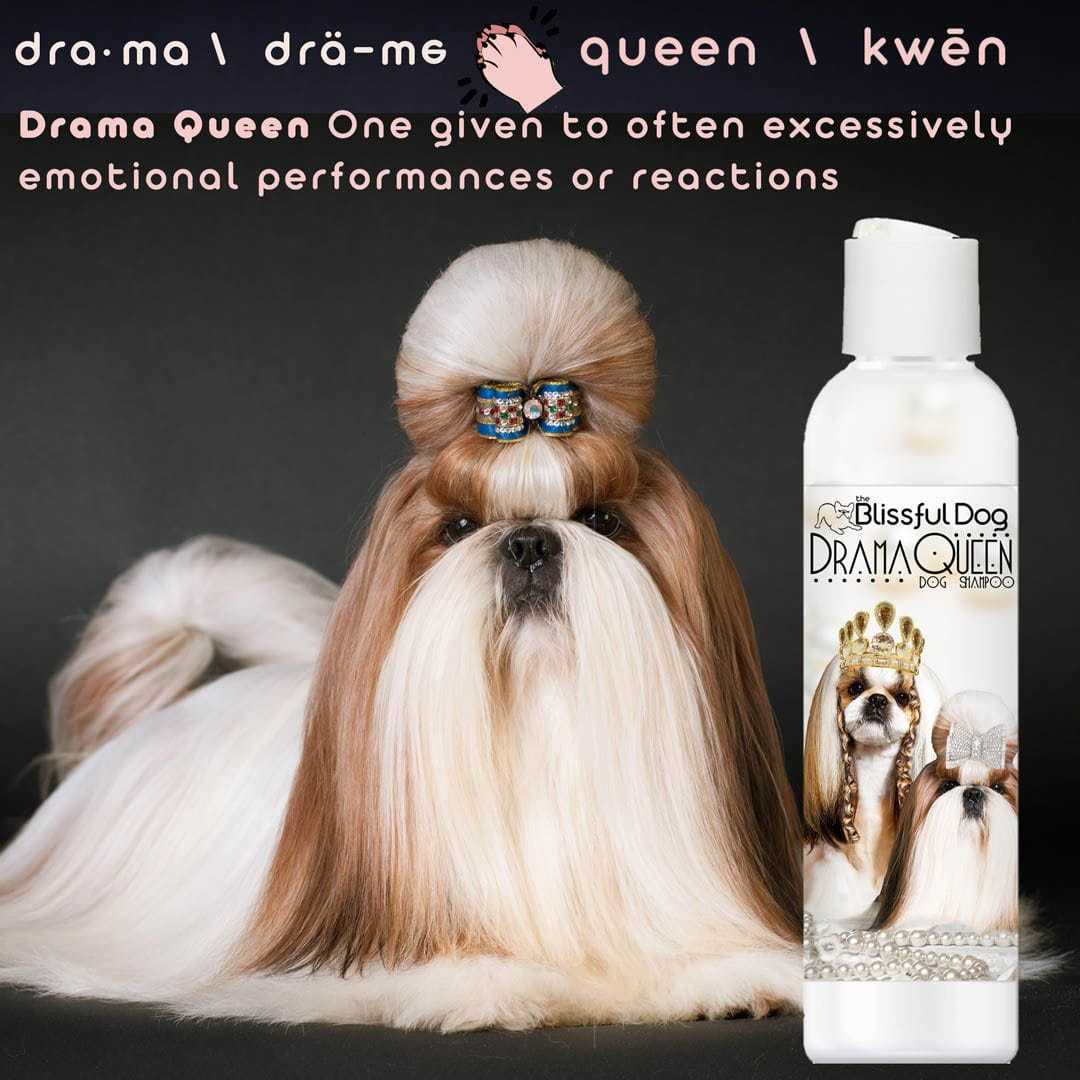 Shih Tzu Rich Bitch & Drama Queen Shampoo - The Snag Bin