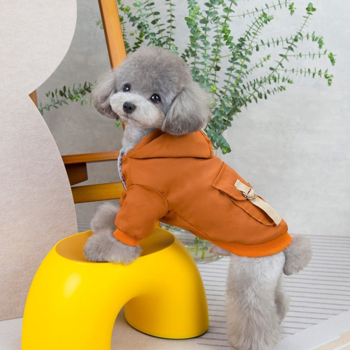 Sweaters for dogs and cats - The Snag Bin
