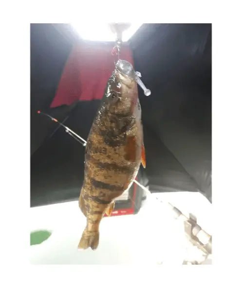 The Tadler - The Snag Bin