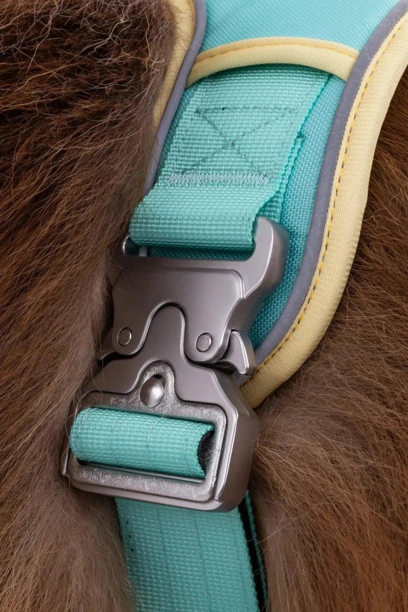 Ultimate Dog Harness - The Snag Bin