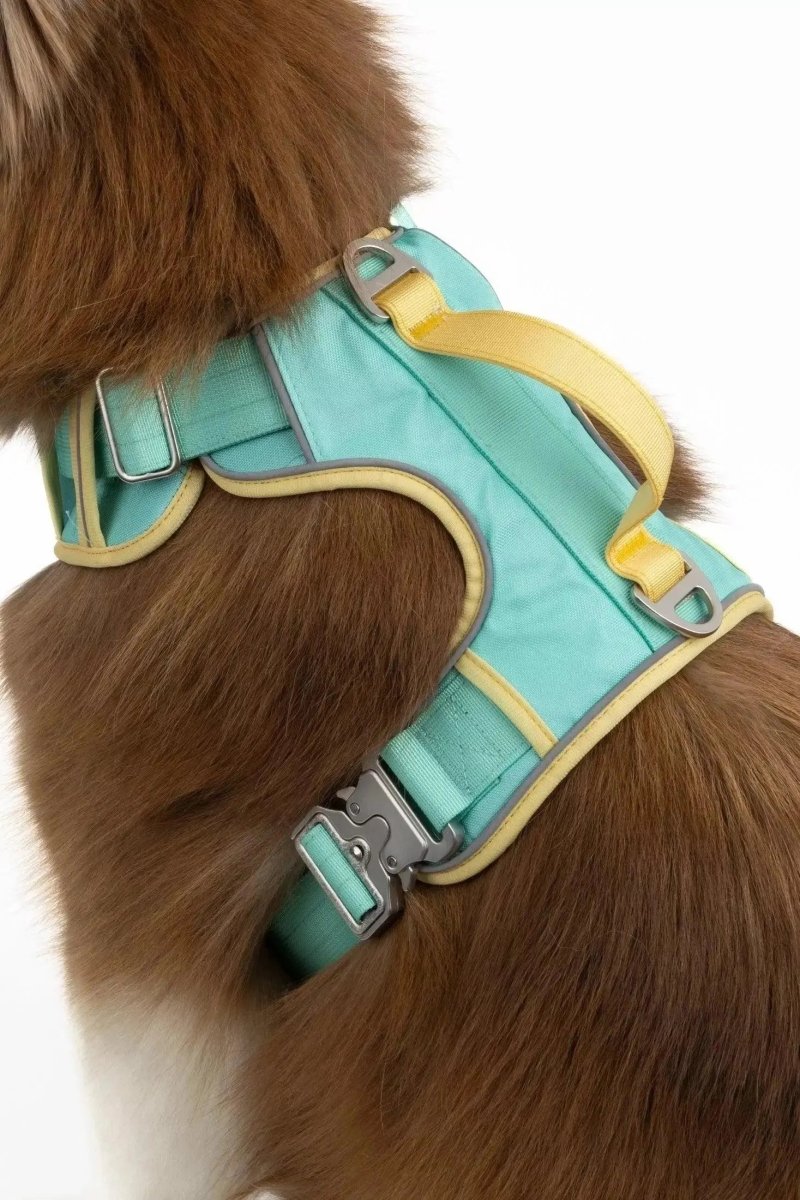 Ultimate Dog Harness - The Snag Bin