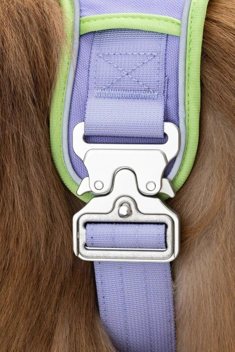 Ultimate Dog Harness - The Snag Bin