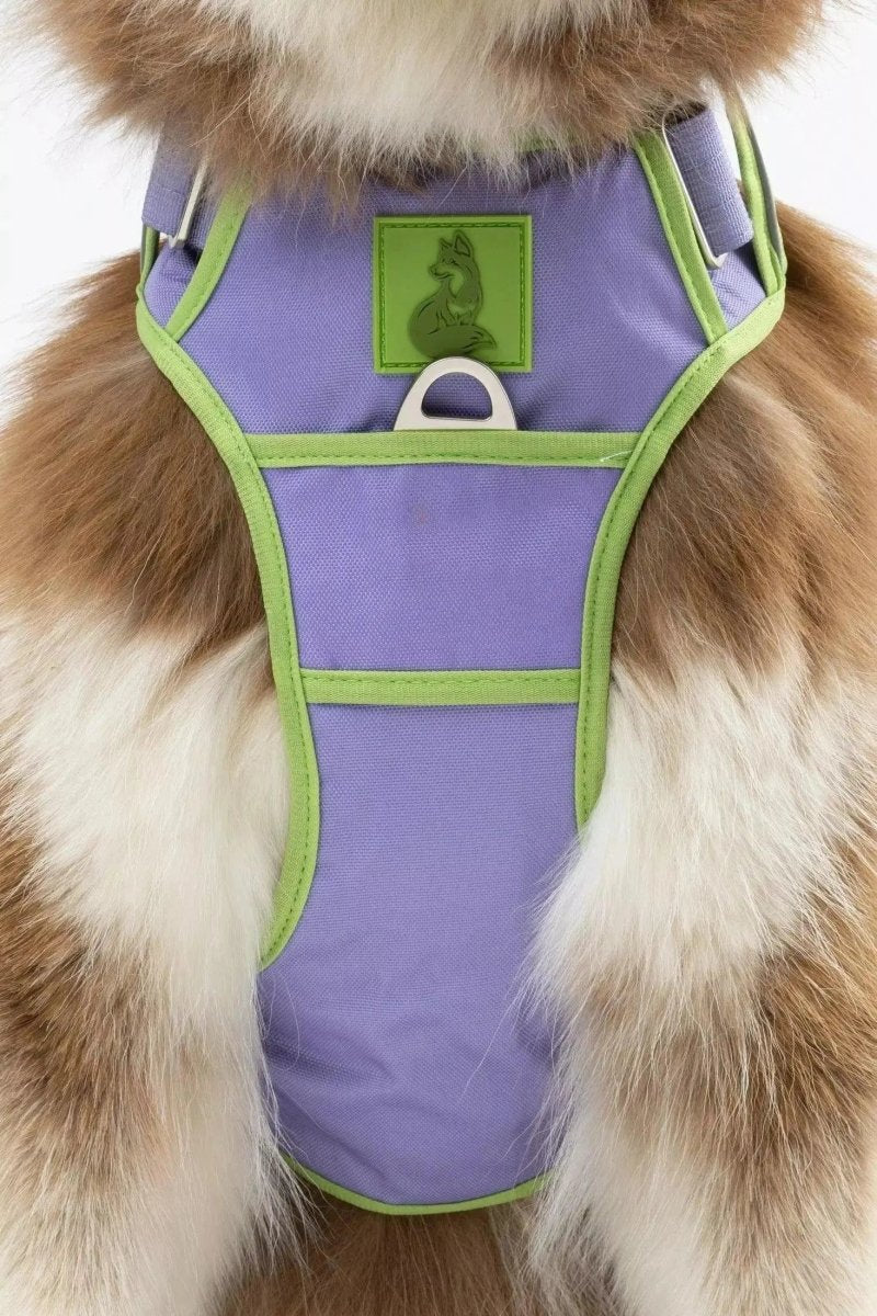 Ultimate Dog Harness - The Snag Bin