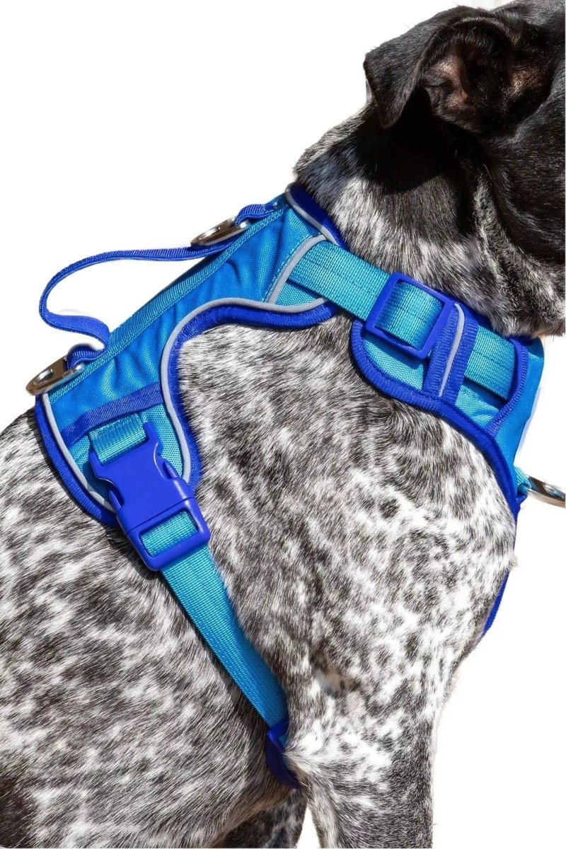 Ultimate Harness - The Snag Bin