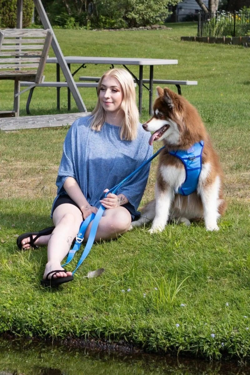 Ultimate Harness - The Snag Bin