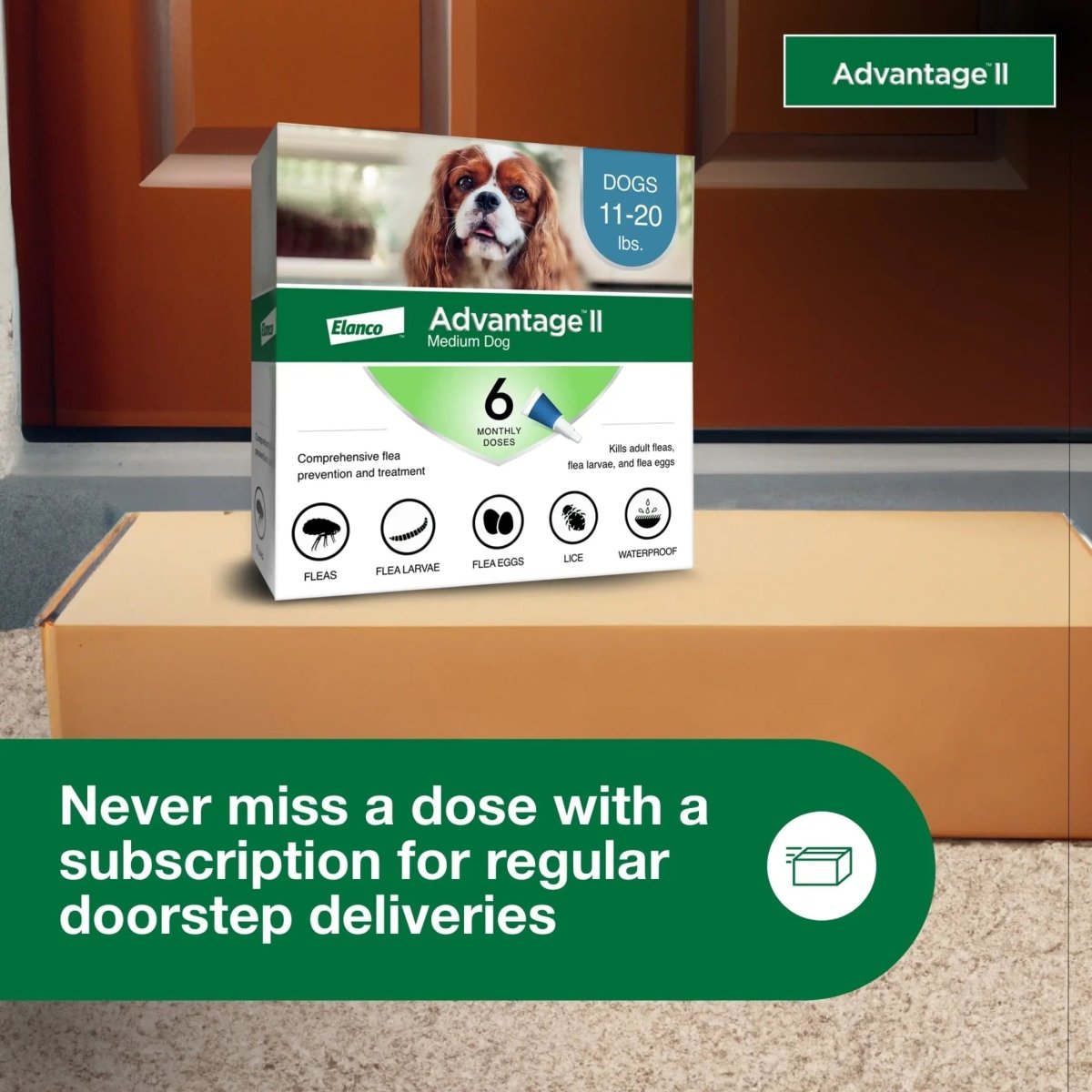 Vet - Recommended Flea Prevention for Medium Dogs 11 - 20 Lbs, 6 - Monthly Treatments - The Snag Bin