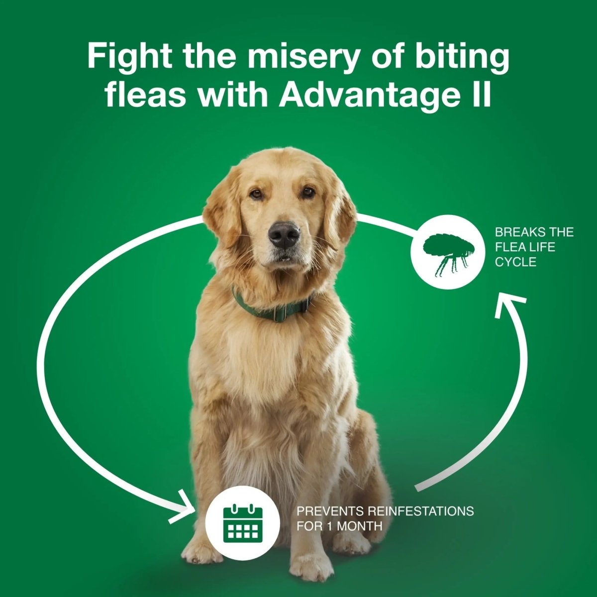 Vet - Recommended Flea Prevention for Medium Dogs 11 - 20 Lbs, 6 - Monthly Treatments - The Snag Bin