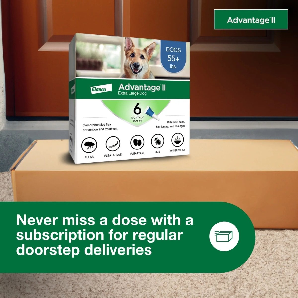 Vet - Recommended Flea Prevention for XL Dogs 55 Lbs+, 6 - Monthly Treatments - The Snag Bin