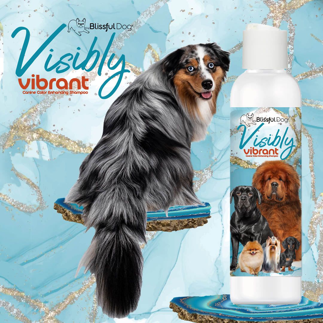 Visibly Vibrant Pet Shampoo - The Snag Bin