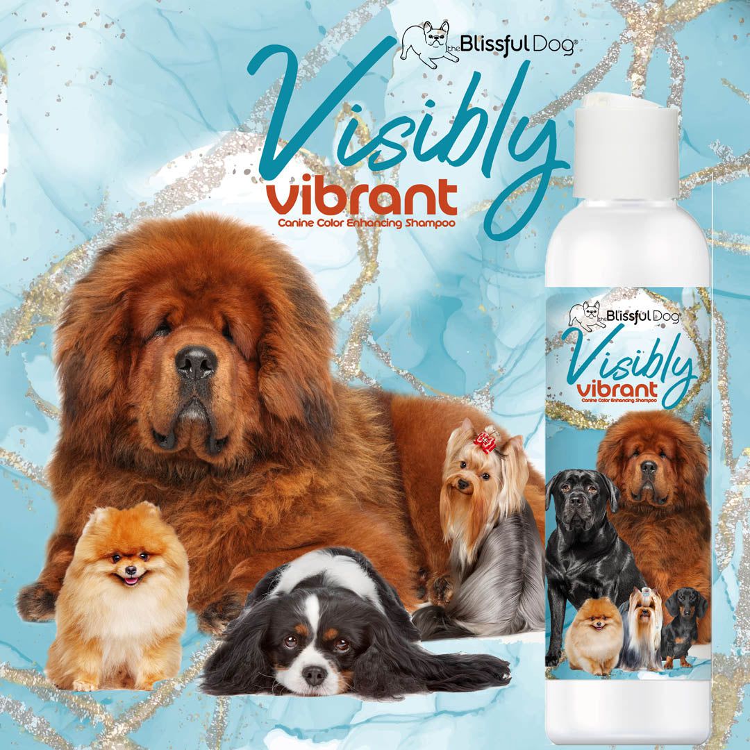 Visibly Vibrant Pet Shampoo - The Snag Bin
