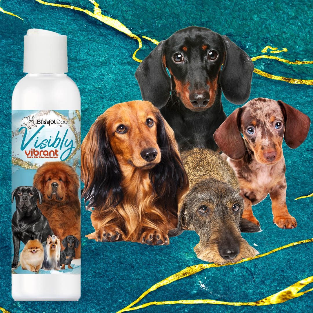 Visibly Vibrant Pet Shampoo - The Snag Bin