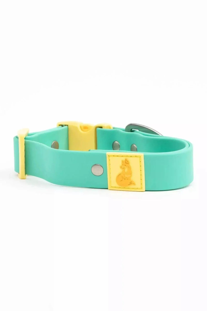 Waterproof Dog Collar - The Snag Bin