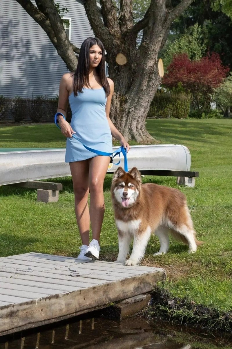 Waterproof Dog Collar - The Snag Bin