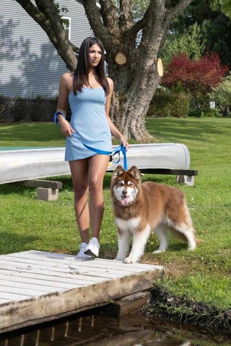 Waterproof Dog Leash - The Snag Bin
