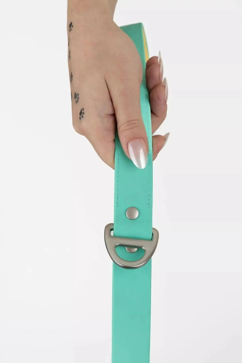 Waterproof Dog Leash - The Snag Bin