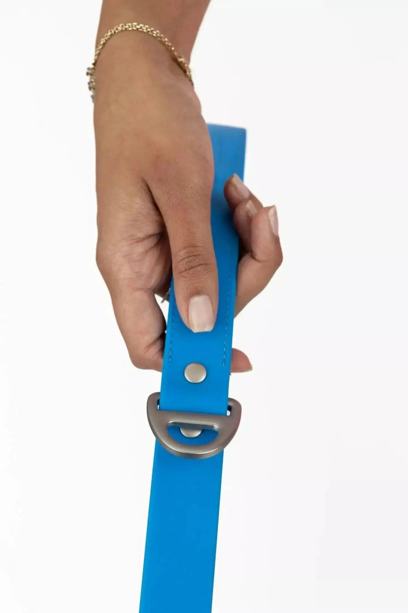 Waterproof Dog Leash - The Snag Bin