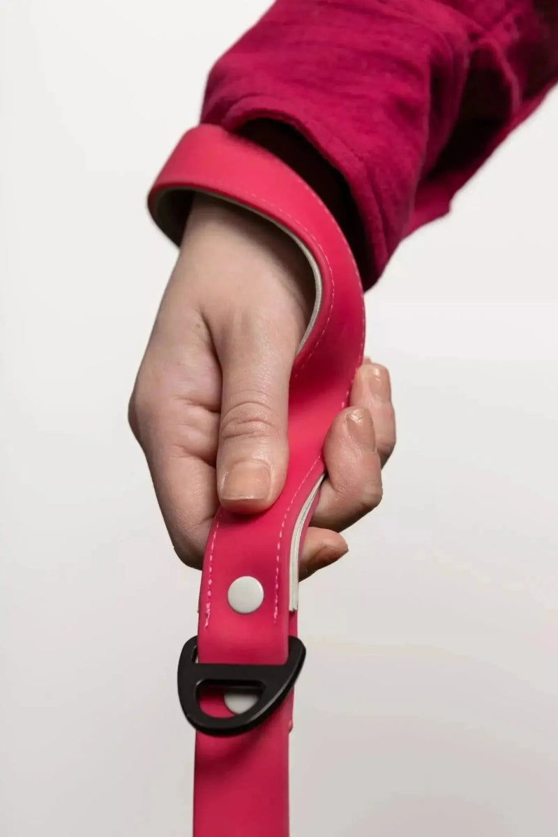 Waterproof Dog Leash - The Snag Bin