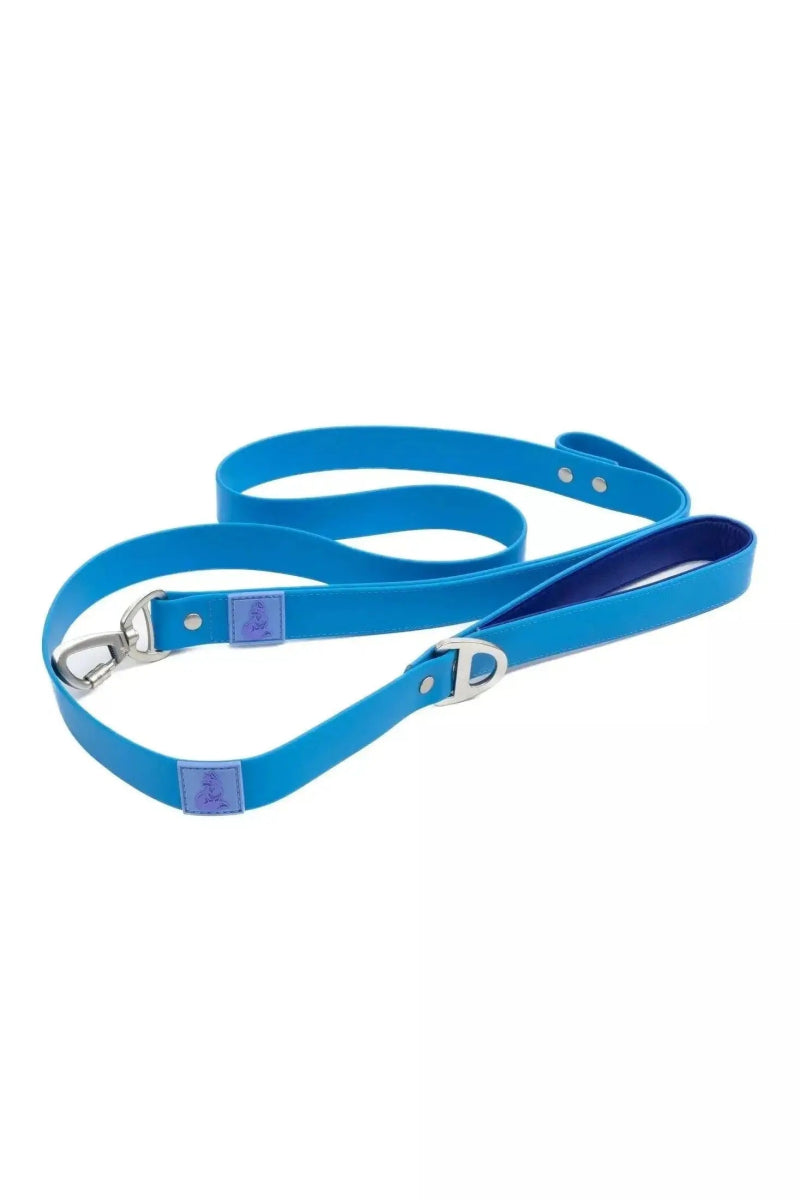 Waterproof Dog Leash - The Snag Bin