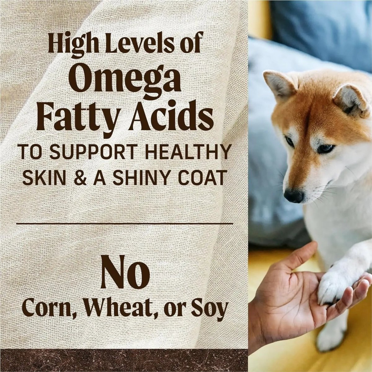 Wholesome and Natural Kibble with Real Chicken and Sweet Potato - The Snag Bin