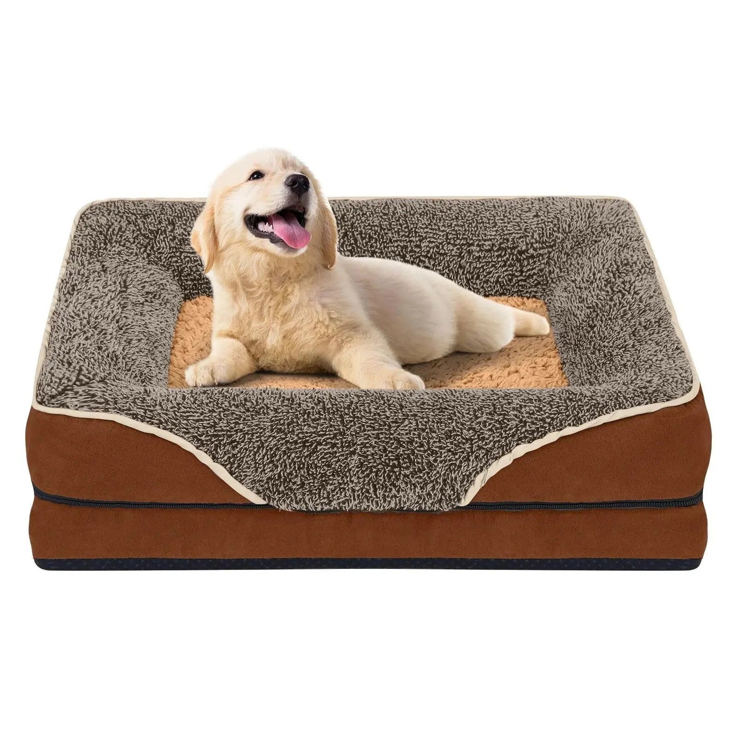 DOG BEDS - The Snag Bin