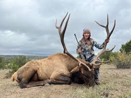 Elk Hunting - The Snag Bin