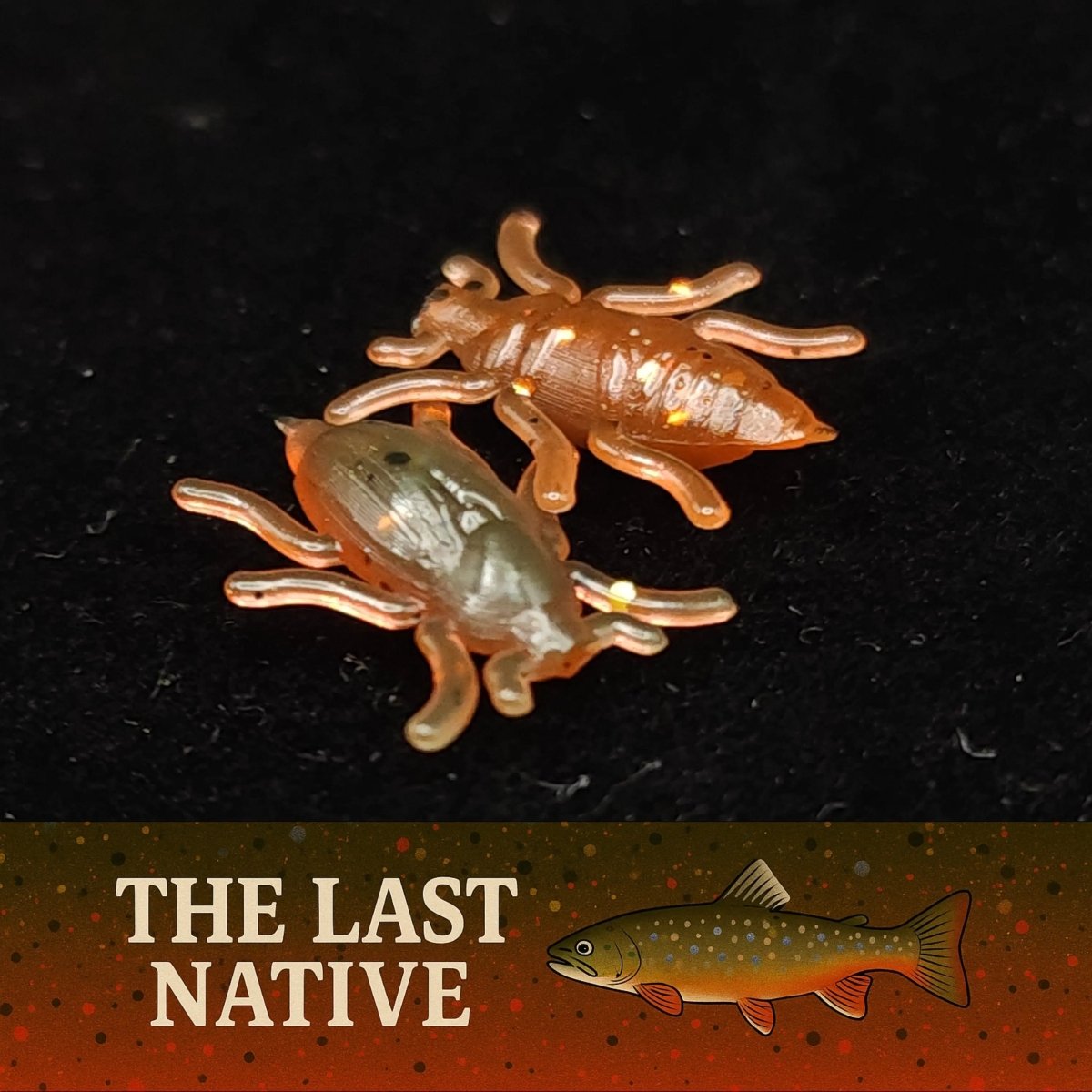 0.5" Half Inch Micro Beetle "Toe Biter" - The Snag Bin