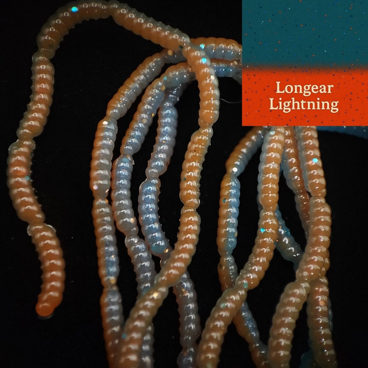 0.5" Inch Maggot Larvae "The Apple Maggot" - The Snag Bin
