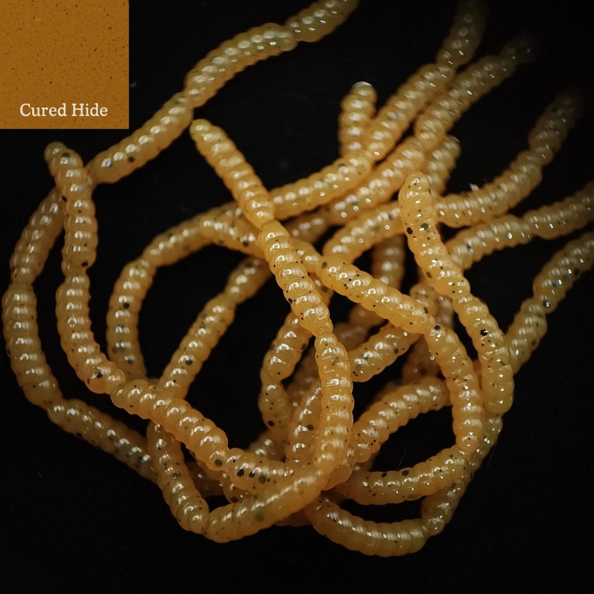 0.5" Inch Maggot Larvae "The Apple Maggot" - The Snag Bin