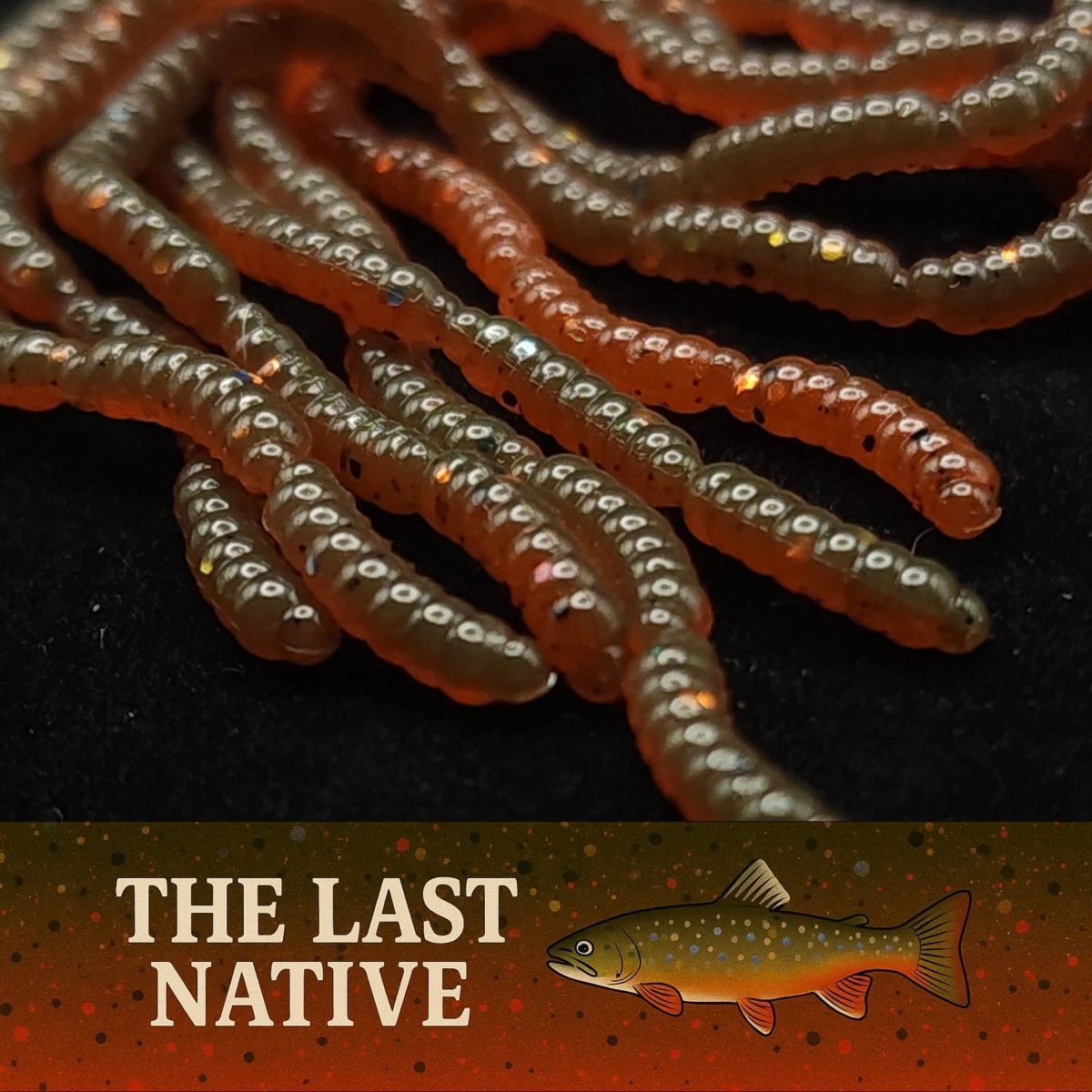 0.5" Inch Maggot Larvae "The Apple Maggot" - The Snag Bin